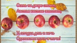 С Днем осеннего равноденствия-2024: поздравления в картинках и открытках
