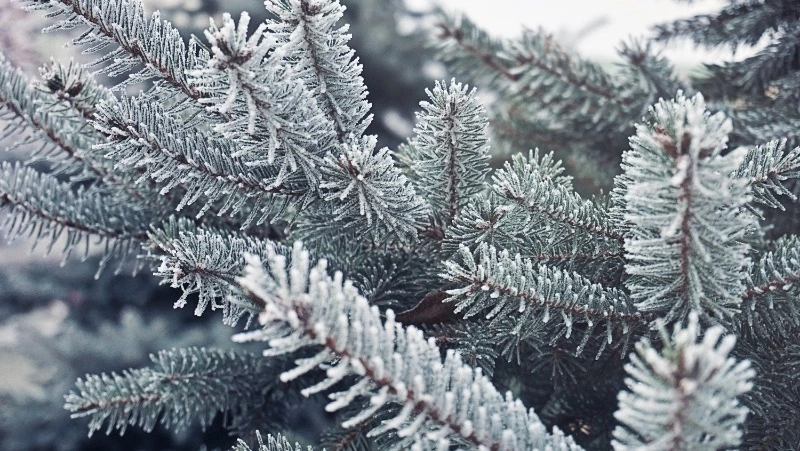 Народные приметы на 19 декабря 2023 года: что строго нельзя делать