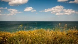 Прогноз погоды в Сахалинской области на 7 июня: облачно и без осадков       