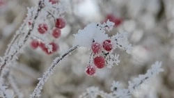 Церковный праздник 21 февраля 2024: что нельзя делать, приметы 