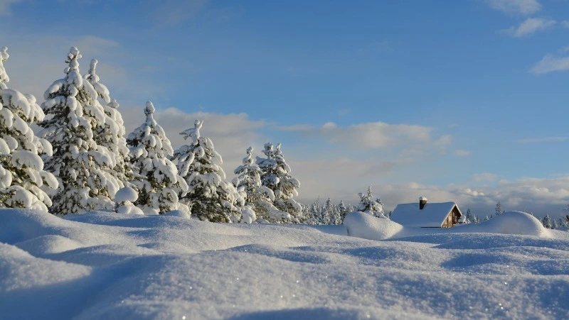 Церковный праздник 25 декабря 2023: что нельзя делать, приметы 