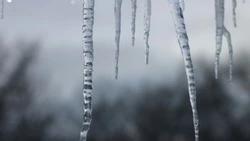 Прогноз погоды в Сахалинской области на 4 апреля: осадки и до +8 градусов      