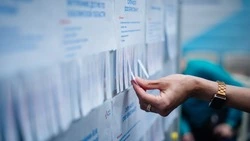 Сахалинцев пригласили выбрать работу на федеральном этапе ярмарки трудоустройства