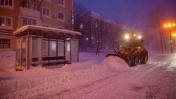 Циклон обрушит метель и сильный снег на Сахалин и Курилы 