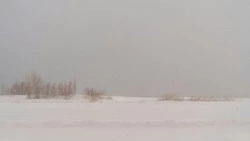 Погода в Сахалинской области 23 января: +1 градус и метель 